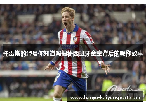 托雷斯的绰号你知道吗揭秘西班牙金童背后的昵称故事